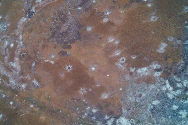Kahverengi bir kamış tarlasına saçılmış beyaz donmuş noktaların eşsiz doğal deseni. Krater benzeri doku, gezegensel bir yüzeye, organik biyolojik yapıya veya jeolojik oluşuma benzeyen soyut bir kış arkaplanı oluşturur..