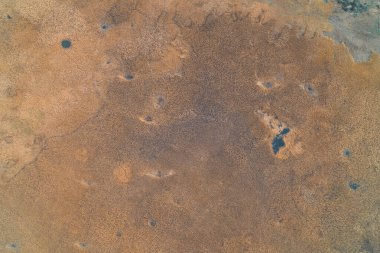 Kuru kahverengi bitki örtüsü ve koyu su çukurlarının karışımıyla karakterize edilmiş bataklık bir bölgenin havadan aşağı görüntüsü. Bataklıktaki organik kaotik desen sulak arazi habitatının karmaşıklığını ve vahşi arazideki doğal biyolojik çeşitliliği vurgular.