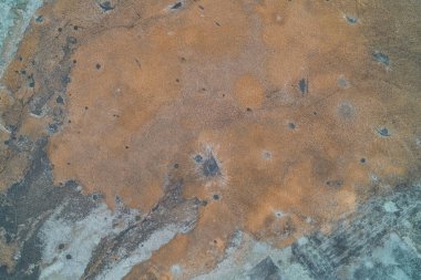 Kurumuş çimenler ve eriyen buzlarla kaplı geniş bir tarlayı gösteren sakin bir bahar ya da geç kış manzarası. Yumuşak renkleri ve minimalist kompozisyonu olan uyuyan bir doğanın atmosferik hava görüntüsü.