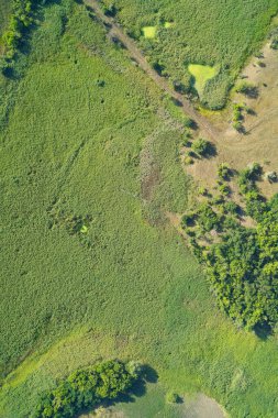 Sazlıklarla dolu canlı yeşil bir bataklığın dikey hava görüntüsü ve soluk çapraz bir yol taze doğa arka planlarına ve dikey tasarımlara uygun tek bir doğal doku yaratıyor.