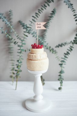 Peynir kafa ile arka plan üzerinde bitki