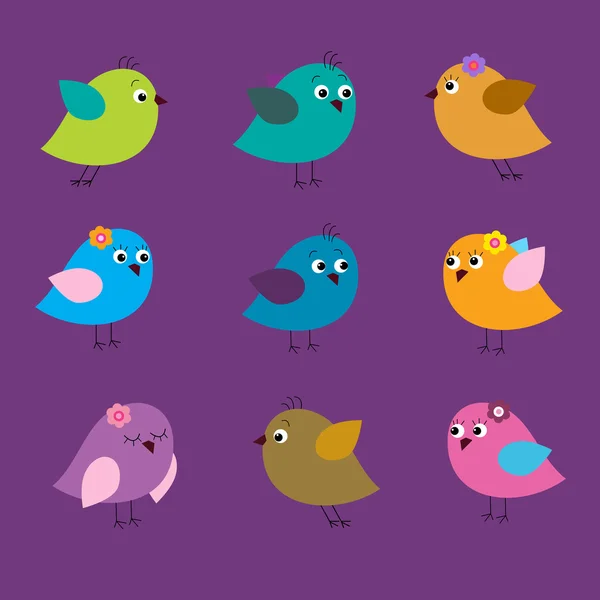 Conjunto sin costuras con aves de colores — Vector de stock