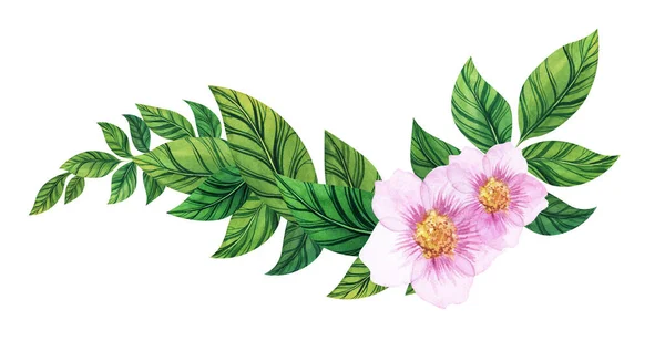 Ornamento floral aquarela para cartões postais e convites. Galho de rosa mosqueta com belas flores rosa doces e folhas verdes grossas. Modelo de quadro de canto desenhado à mão no fundo branco — Fotografia de Stock