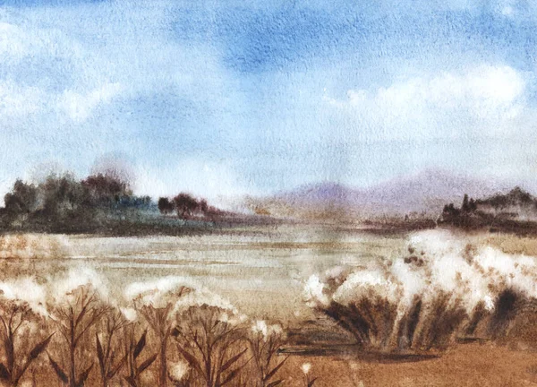 Klidná akvarelová krajina chladného dne na holém poli s rostlinami pokrytými mrazem. Tmavě rozmazané dřevo a matné siluety zasněžených hor proti měkkému modrému nebi. Ručně kreslené zimní ilustrace — Stock fotografie