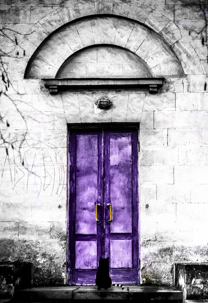 Mor kapının yanında oturan siyah bir kedi