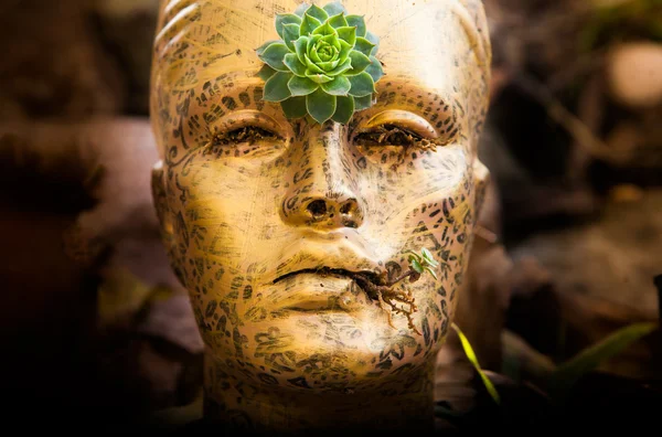 Bir çiçek ile baş