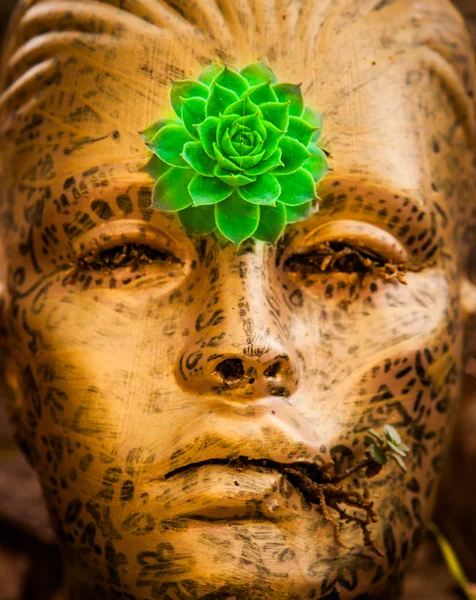 Bir altın kafa içinde büyüyen çiçek