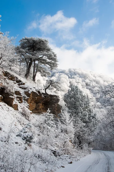Dağlar arasında kış.