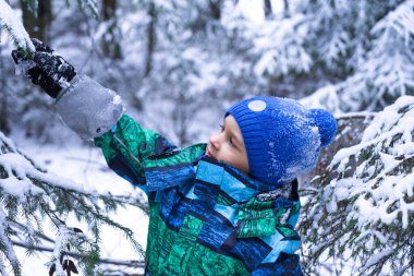 A small happy boy in winter forest