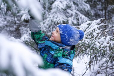 A small happy boy in winter forest