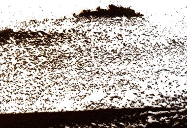 Beyaz Arkaplanda Dağıtılmış Toz ile Taze Yerden Kahve Yapısı