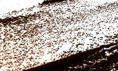 Beyaz Arkaplanda Dağıtılmış Toz ile Taze Yerden Kahve Yapısı