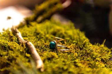 Yeşil yosunların üzerinde çiçekli mavi taşlı yüzükler. Mücevher için dekorasyon. Yeşil bir yosun yastığı..