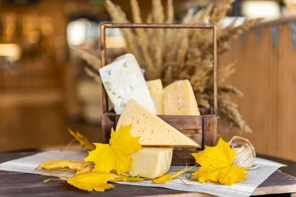 チーズ コテージチーズ サワークリーム 乳製品だ 乳製品だ 製品の広告 健康的な食事 ストック画像