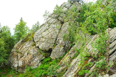 Dağ dokuları, taş, su. Güzel arka plan. Yosun ve taşın dokusu.