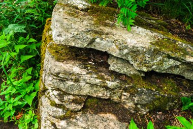 Dağ dokuları, taş, su. Güzel arka plan. Yosun ve taşın dokusu.