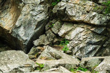 Dağ dokuları, taş, su. Güzel arka plan. Yosun ve taşın dokusu.