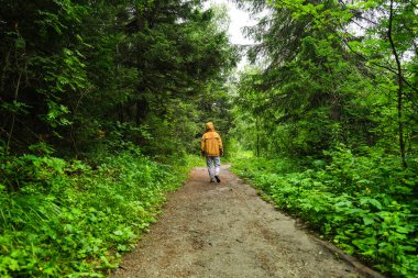 İnsan ve dağlar. Sarı ceketli adam. Bir turist. Bir gezgin. Dağ dokuları, taş, su. Güzel arka plan. Yosun ve taşın dokusu.