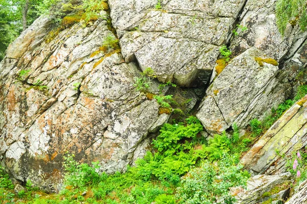 Mountain Textures Stone Water Beautiful Background Texture Moss Stone — Stock Photo, Image