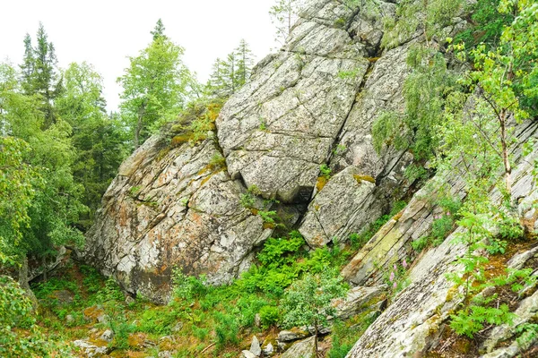 Гірські Текстури Камінь Вода Прекрасний Фон Текстура Моху Каменю — стокове фото