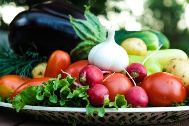 An assortment of fresh fruits and vegetables. Environmental products. A farm. Greens, tomatoes, eggplants, onions, garlic, cucumbers from the garden.