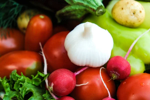 An assortment of fresh fruits and vegetables. Environmental products. A farm. Greens, tomatoes, eggplants, onions, garlic, cucumbers from the garden.