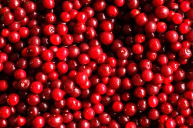 Kiraz hasadı. Bir sürü kiraz. Ellerinde kiraz. Kirazlı ba