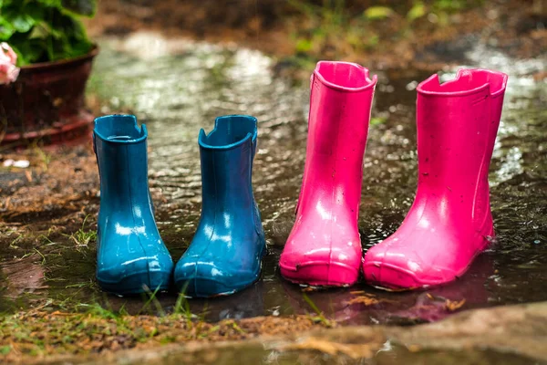 close-up of pink and blue rubber waterproof shoes in a puddle in the rain