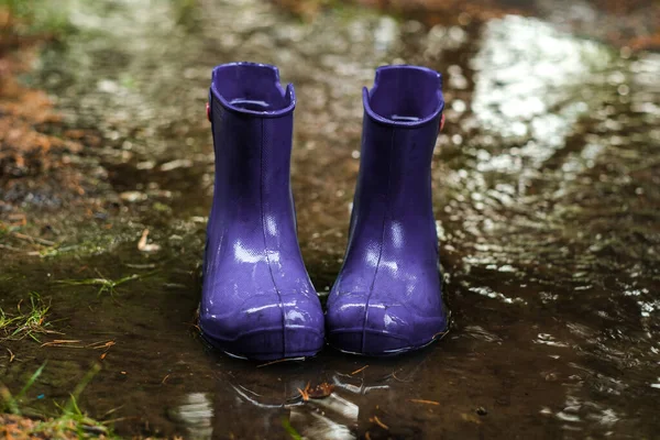 Close Purple Rubber Waterproof Shoes Puddle Rain — Stock Photo, Image