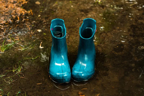 Close Blue Rubber Waterproof Shoes Puddle Rain — Stock Photo, Image