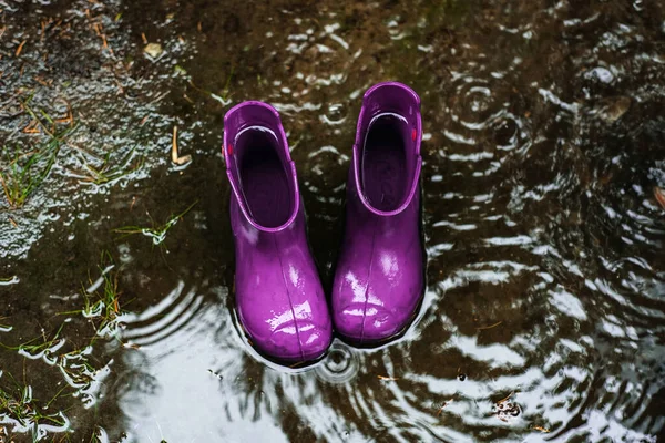 Close Purple Rubber Waterproof Shoes Puddle Rain — Stock Photo, Image