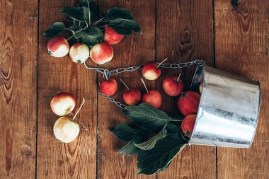 Elma hasatı Bir sürü elma. Ahşap bir arka planda. Taze hasat.