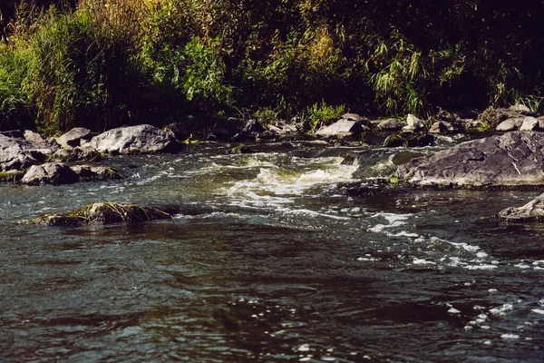 Mountain River Beautiful Nature Mountains — Stock Photo, Image