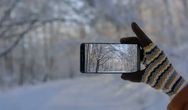 Hand in wool glove holding smartphone and takes pictures of beautiful winter landscape in snow-covered forest. Focus on smartphone screen, blurred background. Working in cold conditions.