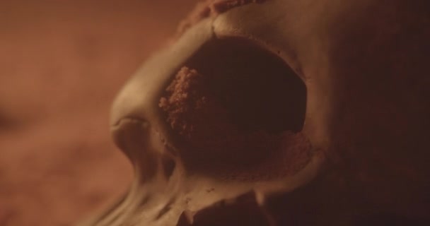 Crâne Dans Une Grotte Sable Avec Feu Séquence Vidéo Libre De Droits