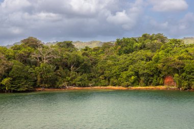 Gatun Gölü kıyıları boyunca bulunan biyolojik çeşitliliğe maruz kalmak, Panama Kanalı 'nın büyük bir bölümü olan Colon, Panama' nın güneyinde bulunan tatlı su yapay gölü.