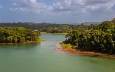 Gatun Gölü kıyıları boyunca bulunan biyolojik çeşitliliğe maruz kalmak, Panama Kanalı 'nın büyük bir bölümü olan Colon, Panama' nın güneyinde bulunan tatlı su yapay gölü.