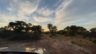 Dağlı, ağaçlı, Fas çöllü manzaralı bir araba.