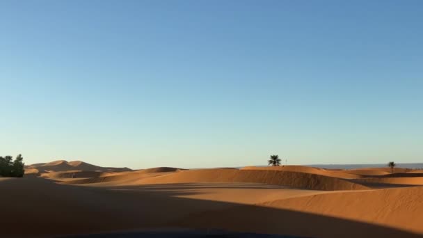 Mattina nel deserto con tempo ventoso dopo tempesta sonora. ora dell'alba — Video Stock