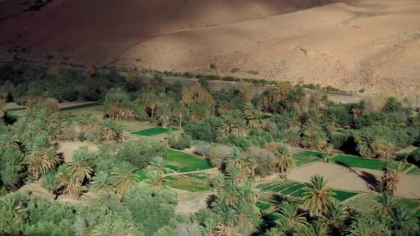 Πανόραμα των μαροκινών τοπίων με ψηλά βουνά και δέντρα — Αρχείο Βίντεο