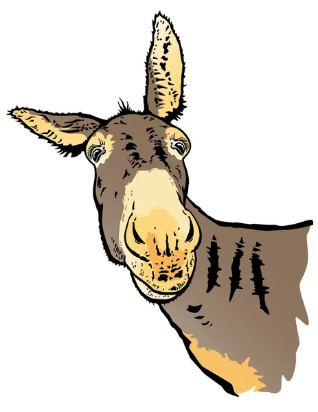 The wary donkey — Stock Vector