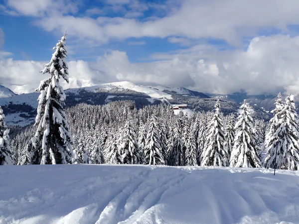 雪に覆われた山の風景 — ストック写真