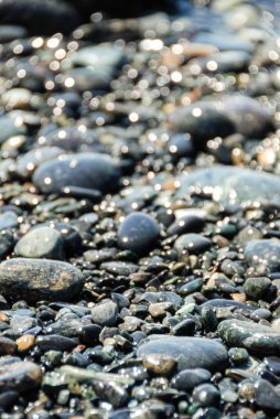 Çakıl bir plajda Close-up