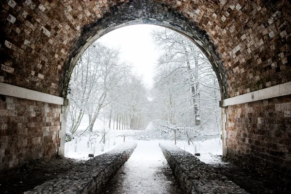 Tunnel zu einem magischen Winterwald Stockbild