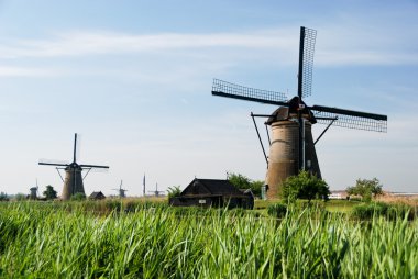 tipik Hollanda Yeldeğirmeni