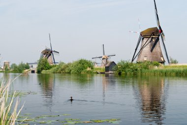 Bir kanalda yansıyan Hollanda yel değirmenleri