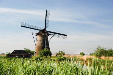 Bir alandaki tipik Hollanda Yeldeğirmeni