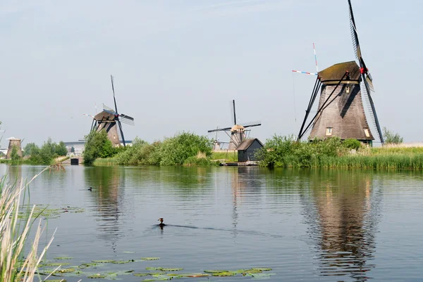 Mulini a vento olandesi riflessi in un canale — Foto Stock