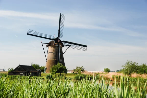 Tipico mulino a vento olandese in un campo — Foto Stock