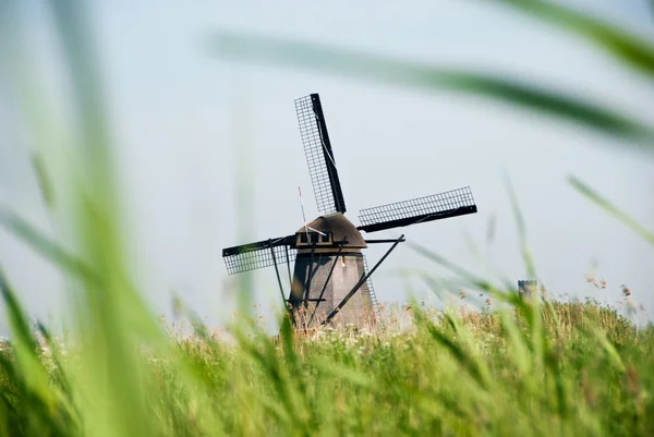 Moinho de vento típico na Holanda Fotos De Bancos De Imagens